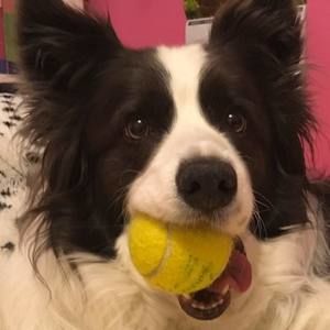 Meet your Posher, Cathy